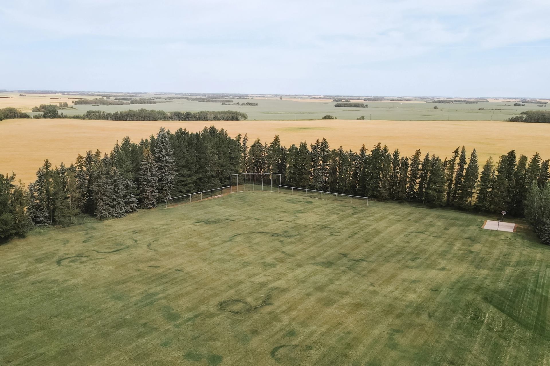 Rural baseball diamond bordered by tall evergreen trees and surrounding crop fields.