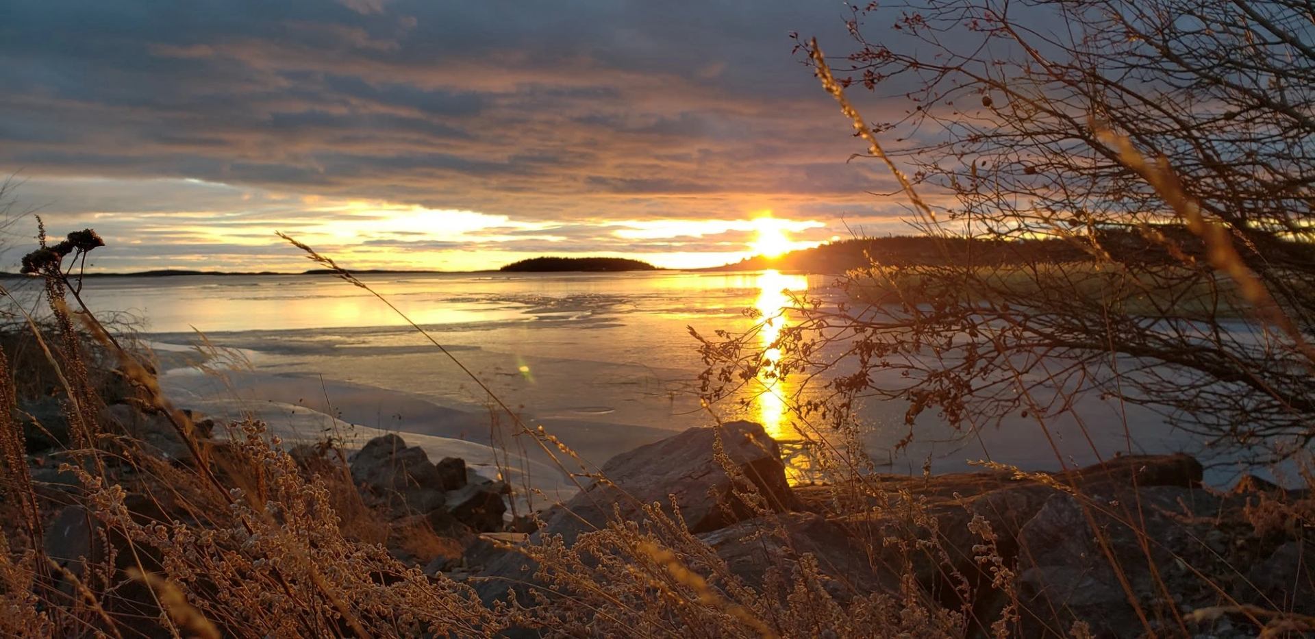Sunset over a calm lake with thin ice, rocky shore and bare branches.