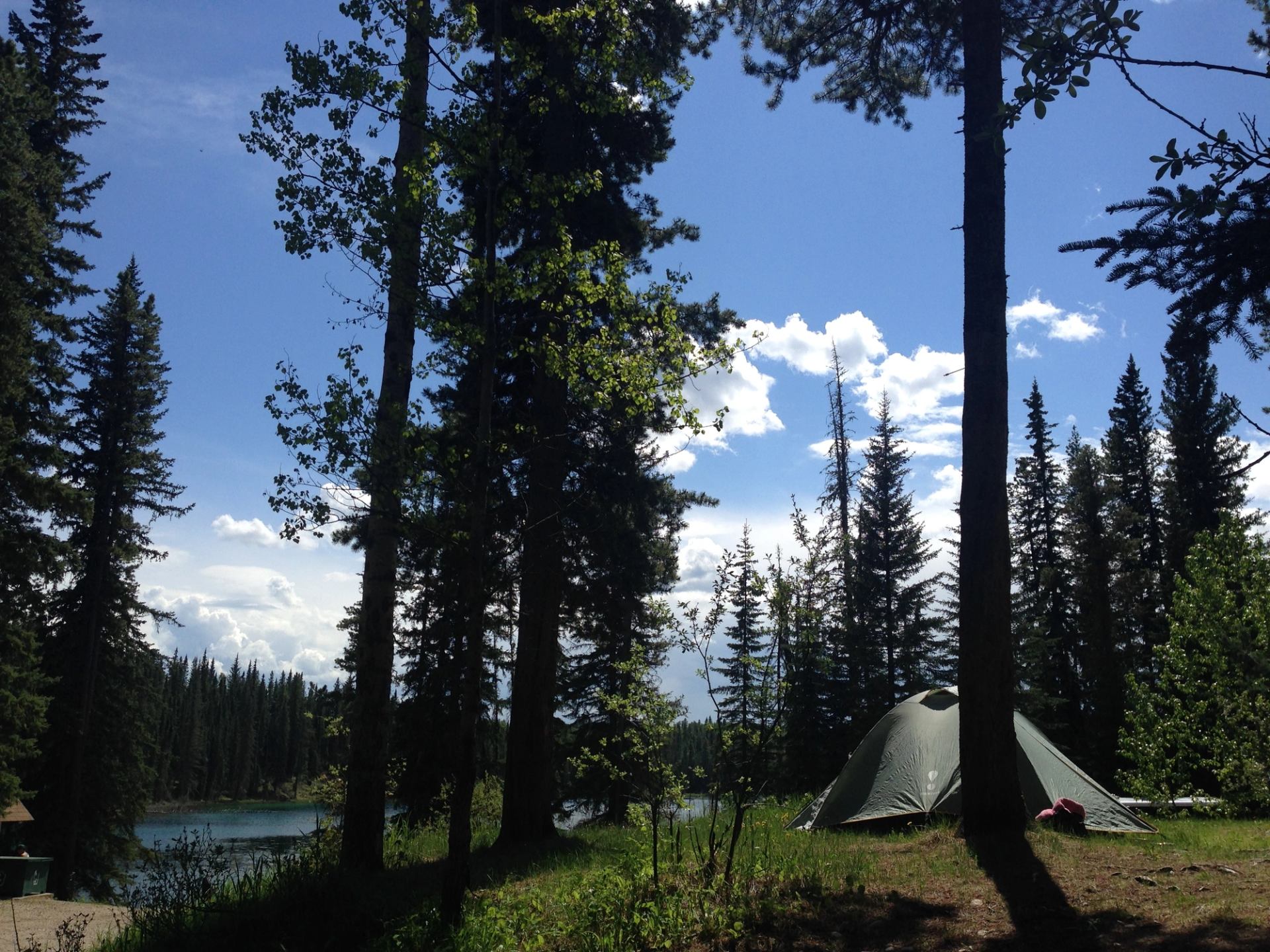 Forest campsite with green tent near calm lake, surrounded by tall evergreen trees.