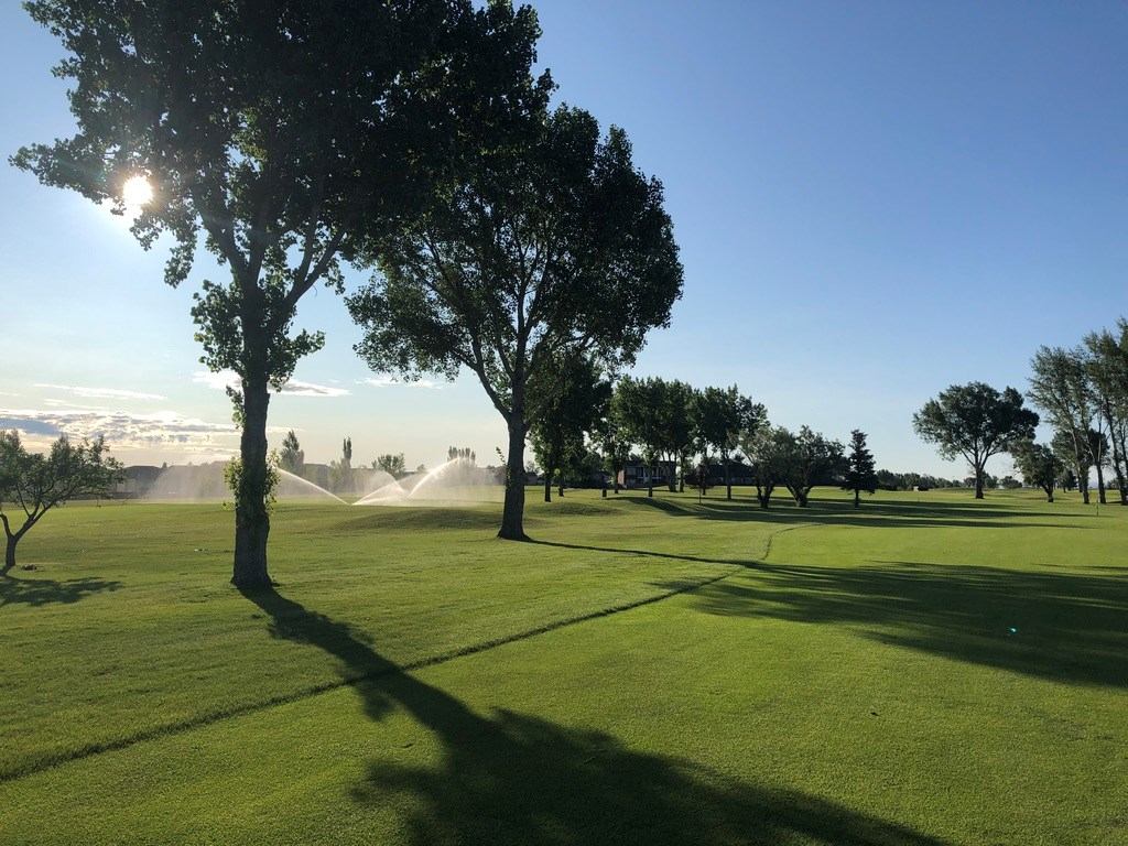 Golf fairway with tall trees casting long shadows under bright sunlight.