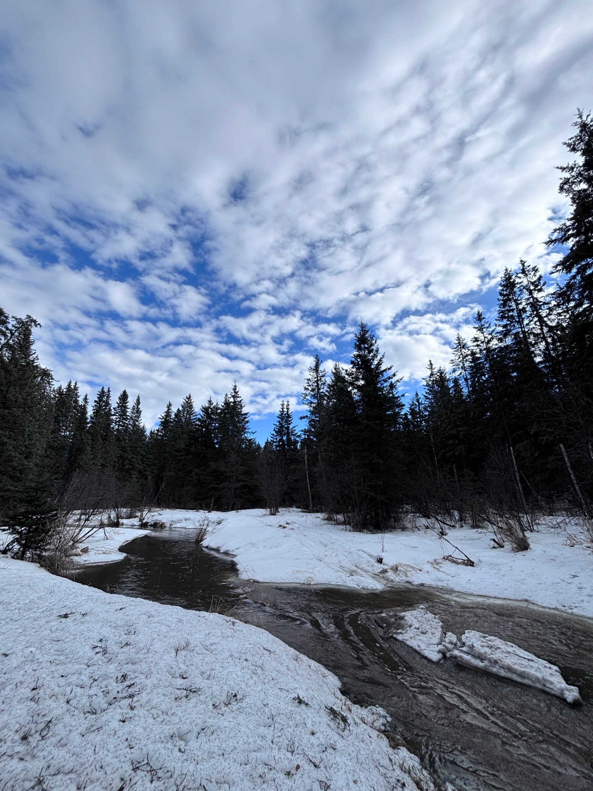 Snowy forest landscape with a winding stream under a cloudy blue sky.
