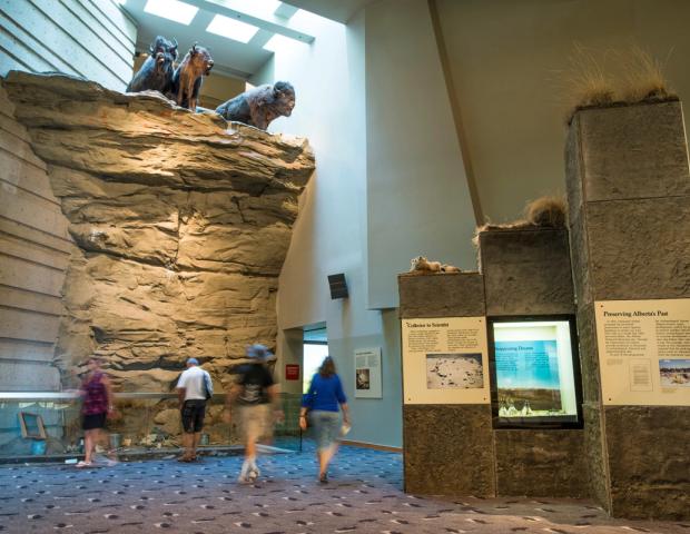 Head Bashed In Head-Smashed-In Buffalo Jump World Heritage Site | Canada's Alberta