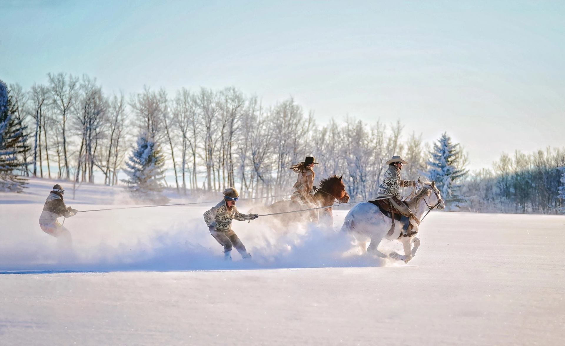 Two skiers being pulled by horses across a snowy field during Skijordue festival.