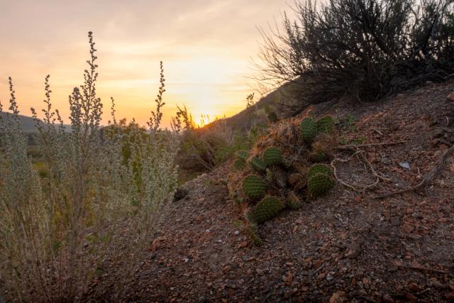 Midland Provincial Park at sunset.