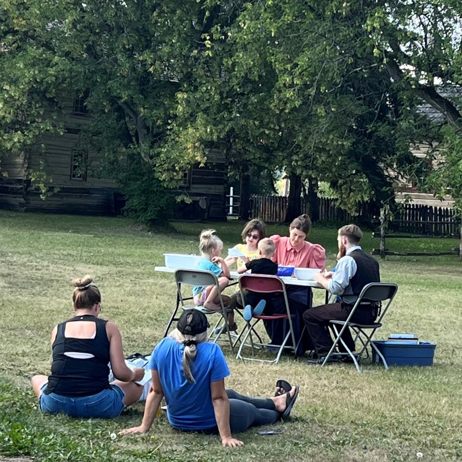 Picnic table with people eating in a grassy park, near trees and wooden fence.