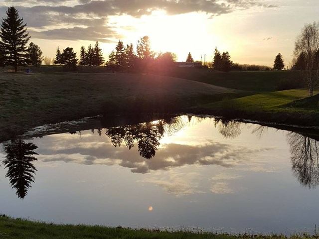 Pond reflecting trees and cloudy sky, sun low over grassy banks.