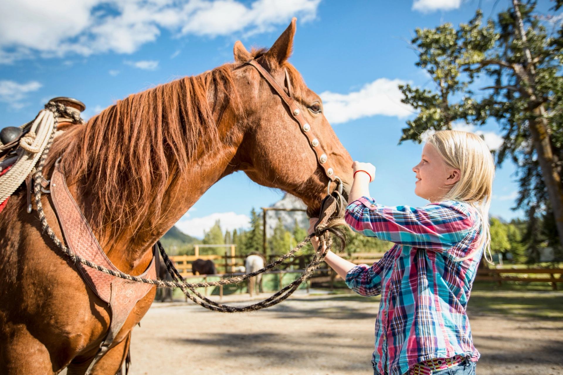 A young girl petting a horse