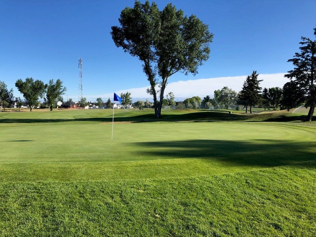 Golf green with a blue flag surrounded by trees under a clear blue sky.