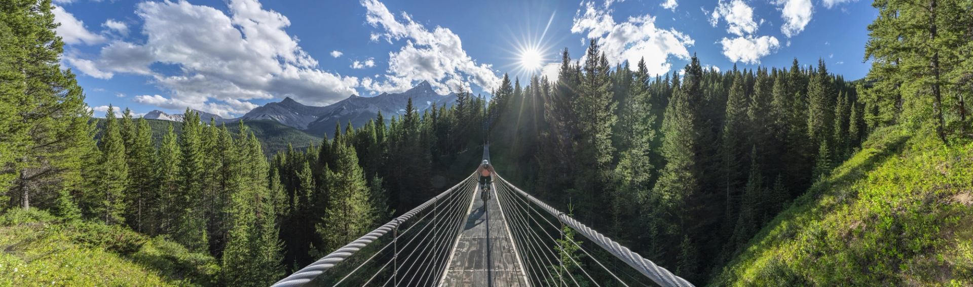 a person cycling across the Blackshale Suspension Bridge with a lush green forest below and mountains in the background