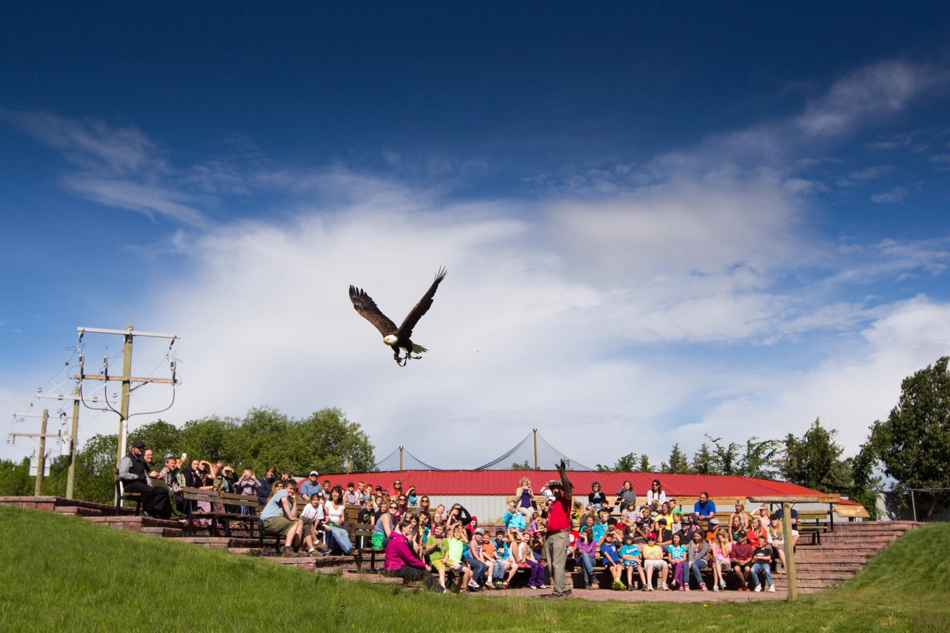 A group of people watching a demonstration at Alberta Birds of Prey Vistor's Centre.