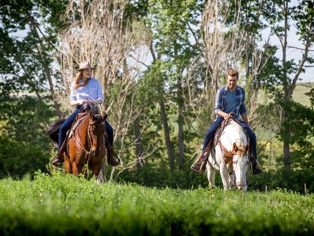 Two people riding horses through green grass.