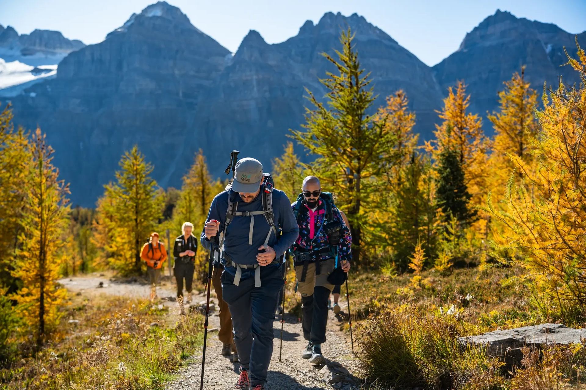 Hikers trek through golden autumn forest with mountains in the background.