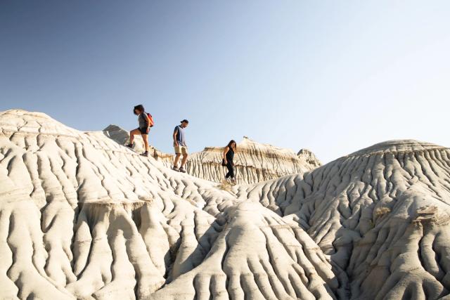 A group of four visitors walk over fossil-like hoodoos while exploring the badlands at Dinosaur Provincial Park.