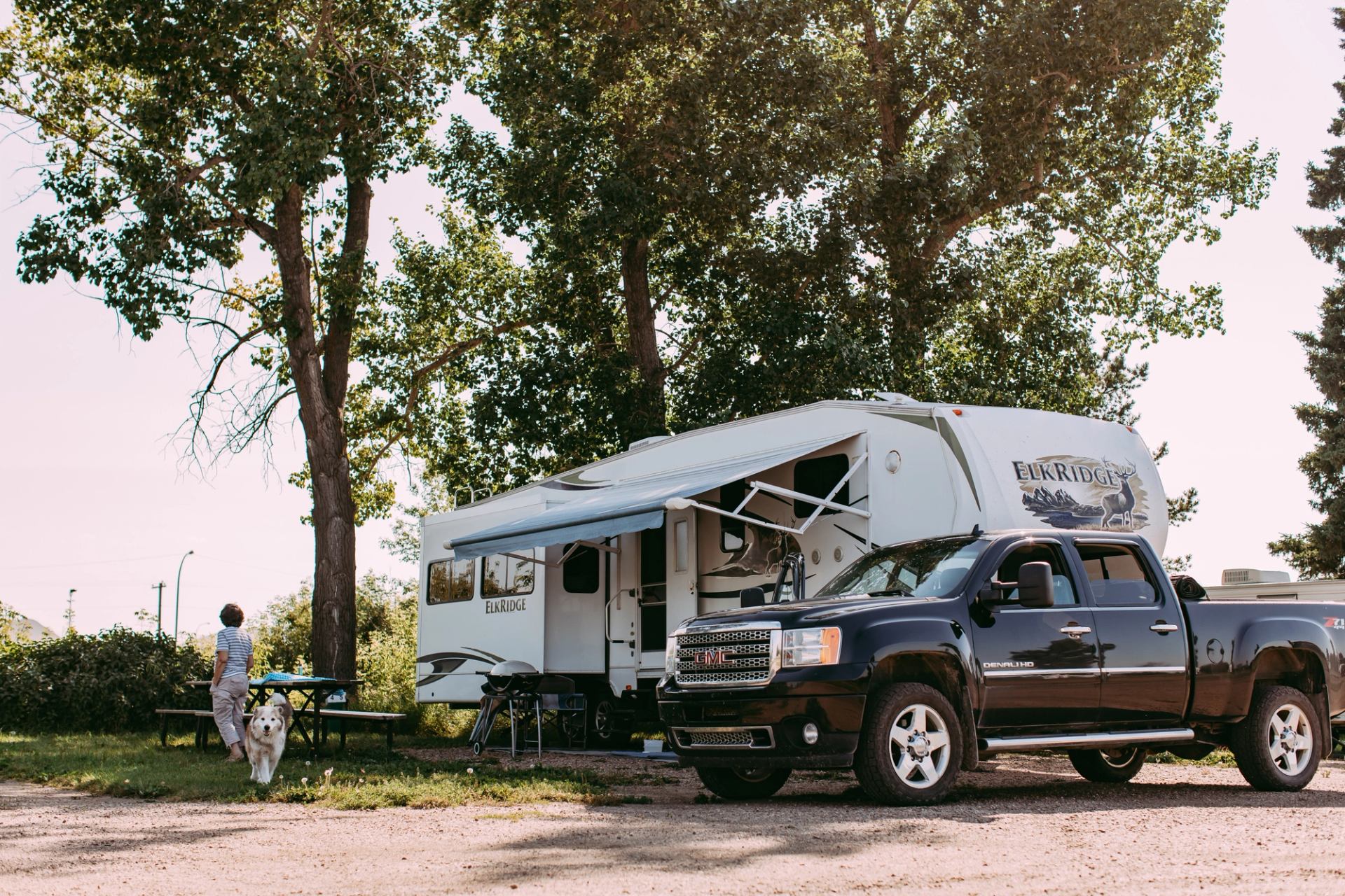 Pickup truck and fifth-wheel trailer set up in wooded campground with person and dog.