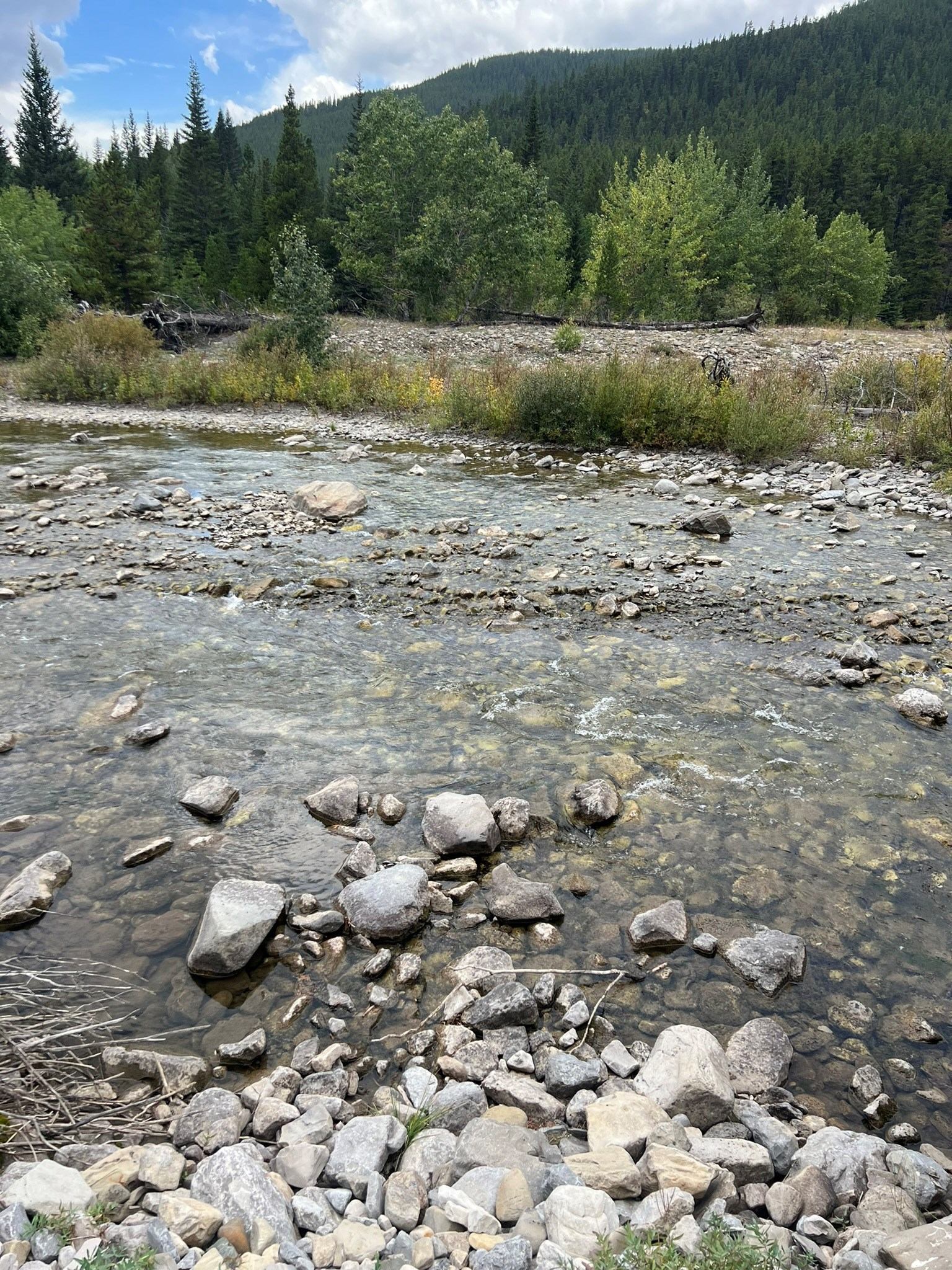 Clear river flowing through forested hills under a partly cloudy sky.