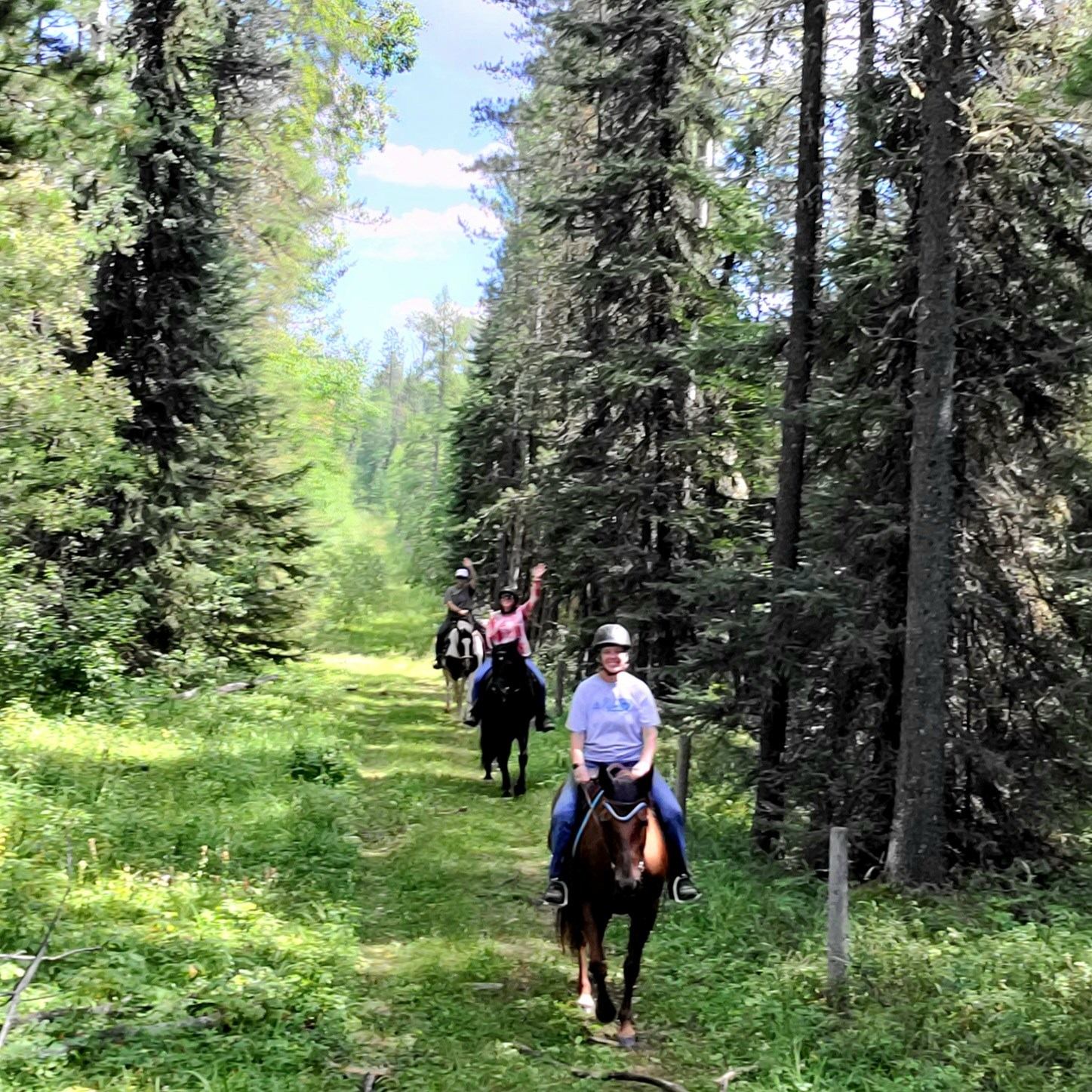 People exploring the trails on horseback