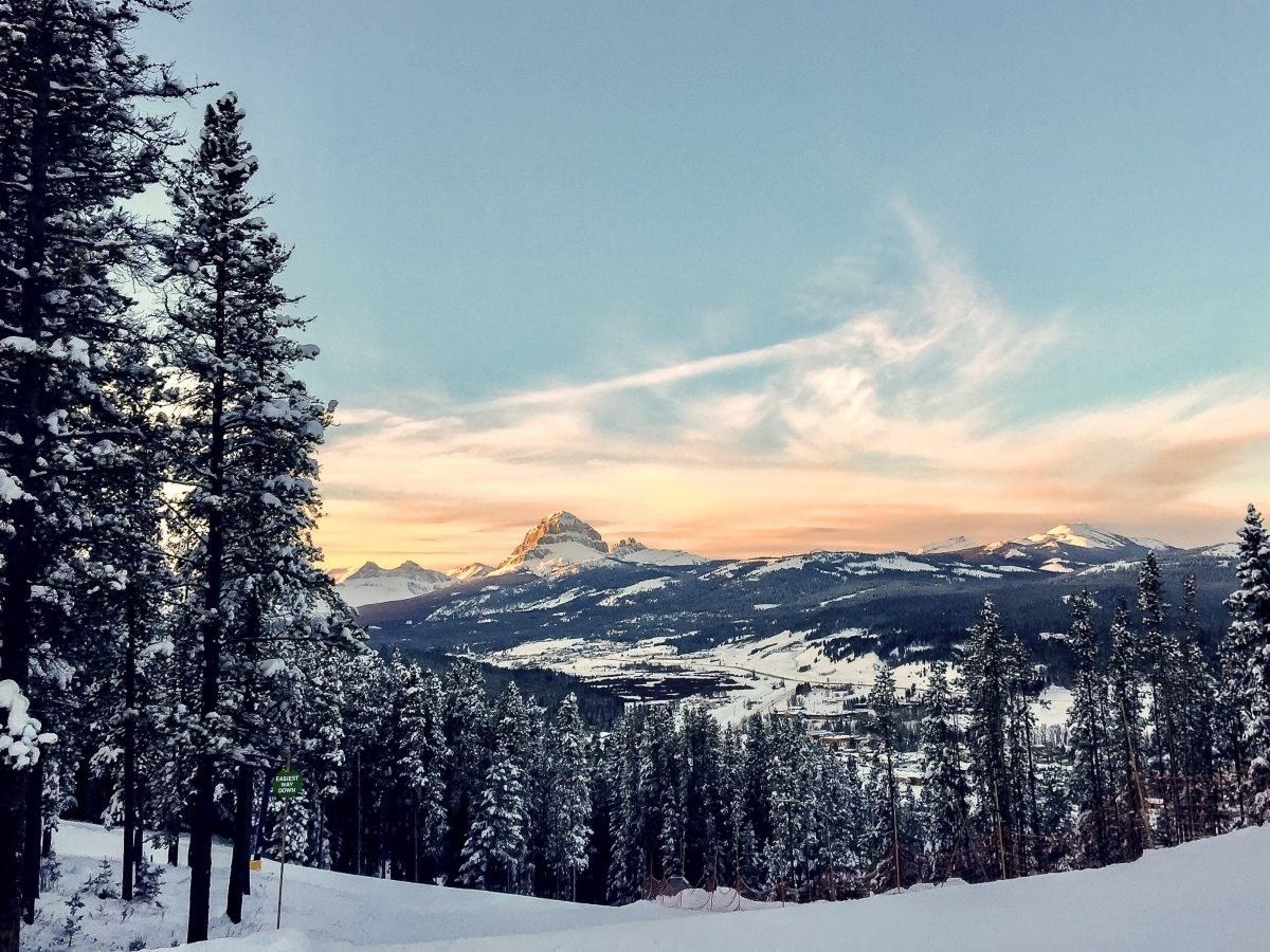 Snowy evergreen trees frame mountain peaks under pink and blue sky.