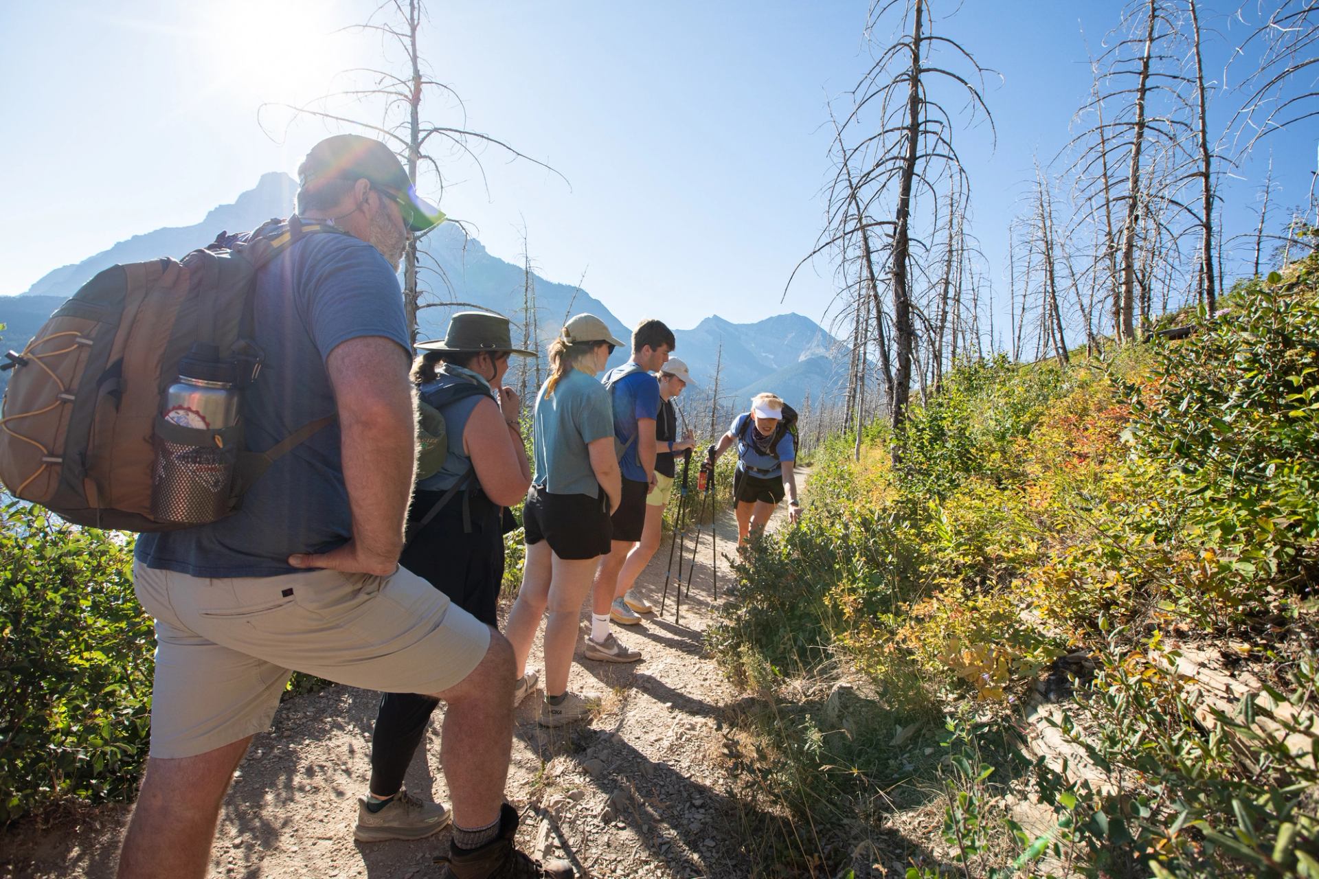 Group of hikers on narrow mountain trail with trekking poles and sparse trees.