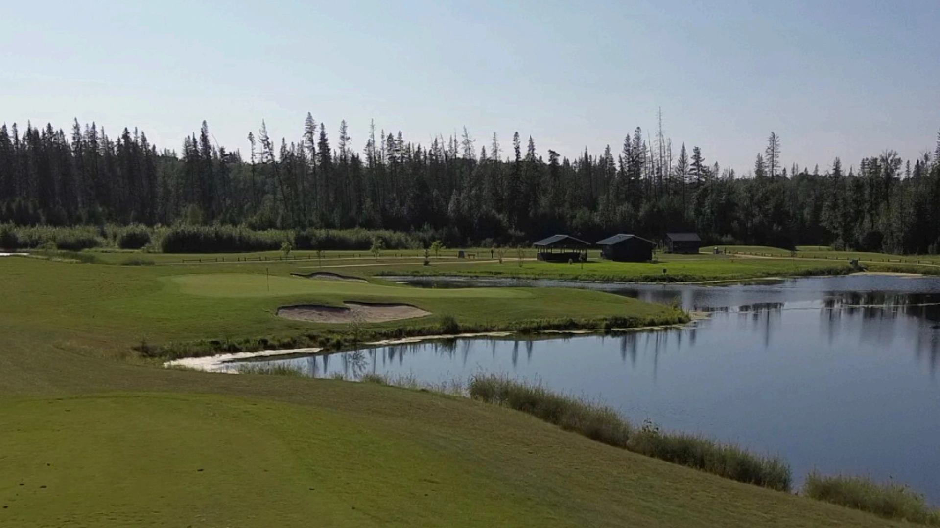 Golf course with sand bunkers and ponds bordered by dense evergreen forest.