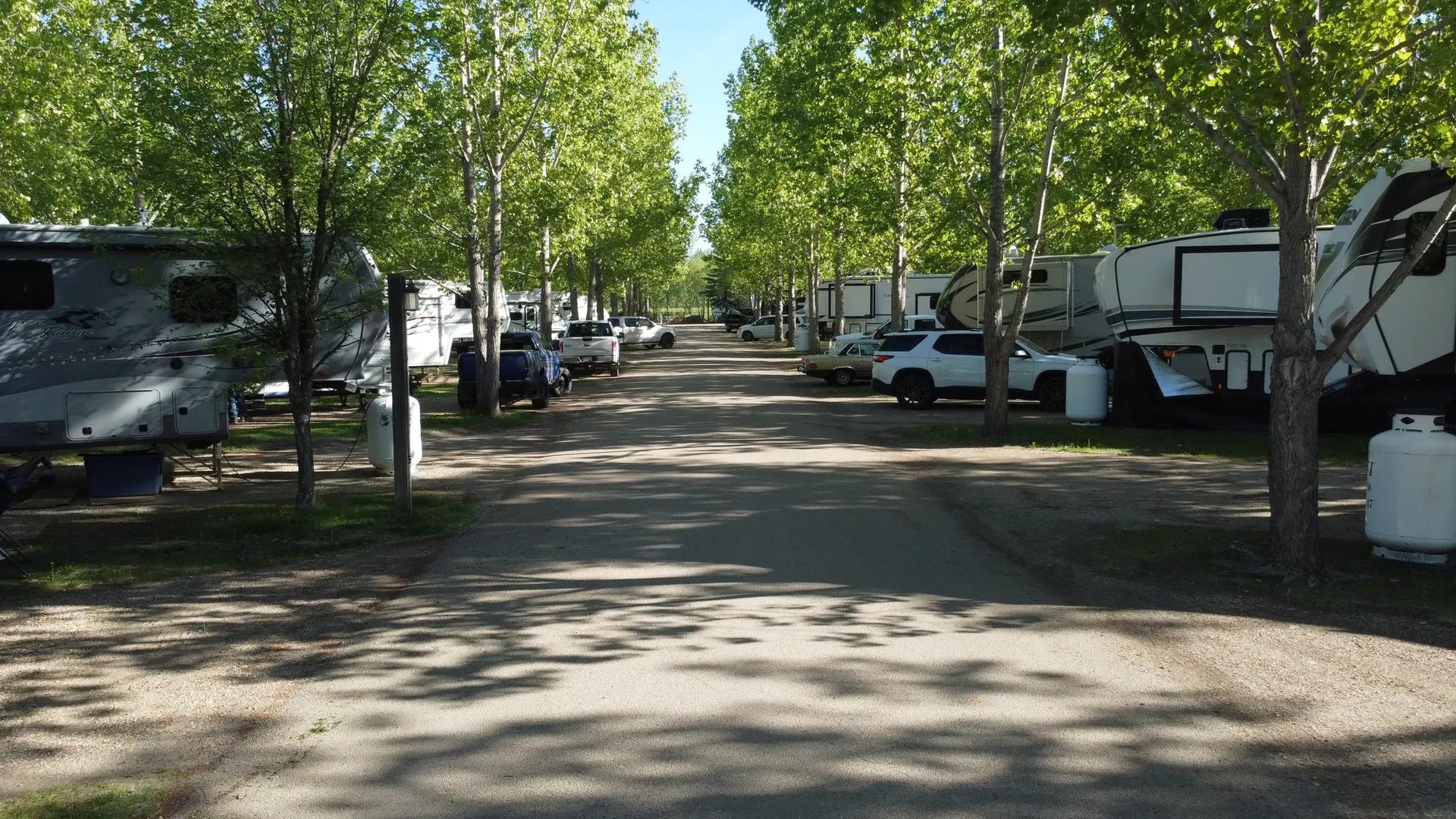 RV park with trailers and a tree-lined path.