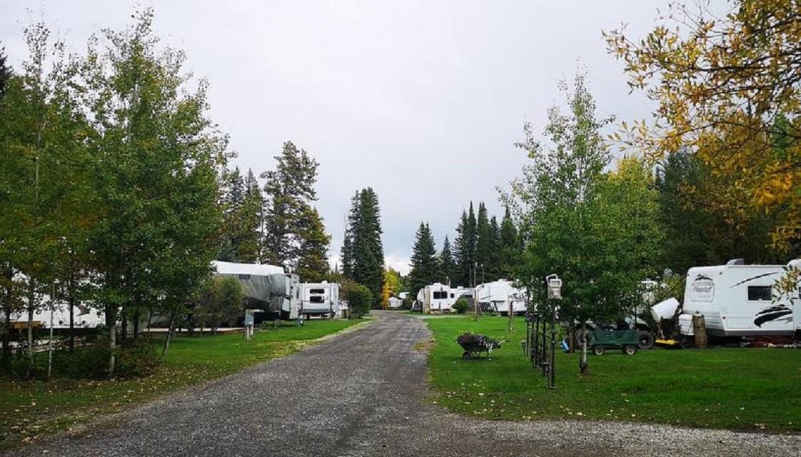 Tree-lined gravel road with RVs parked on both sides in a green campground.