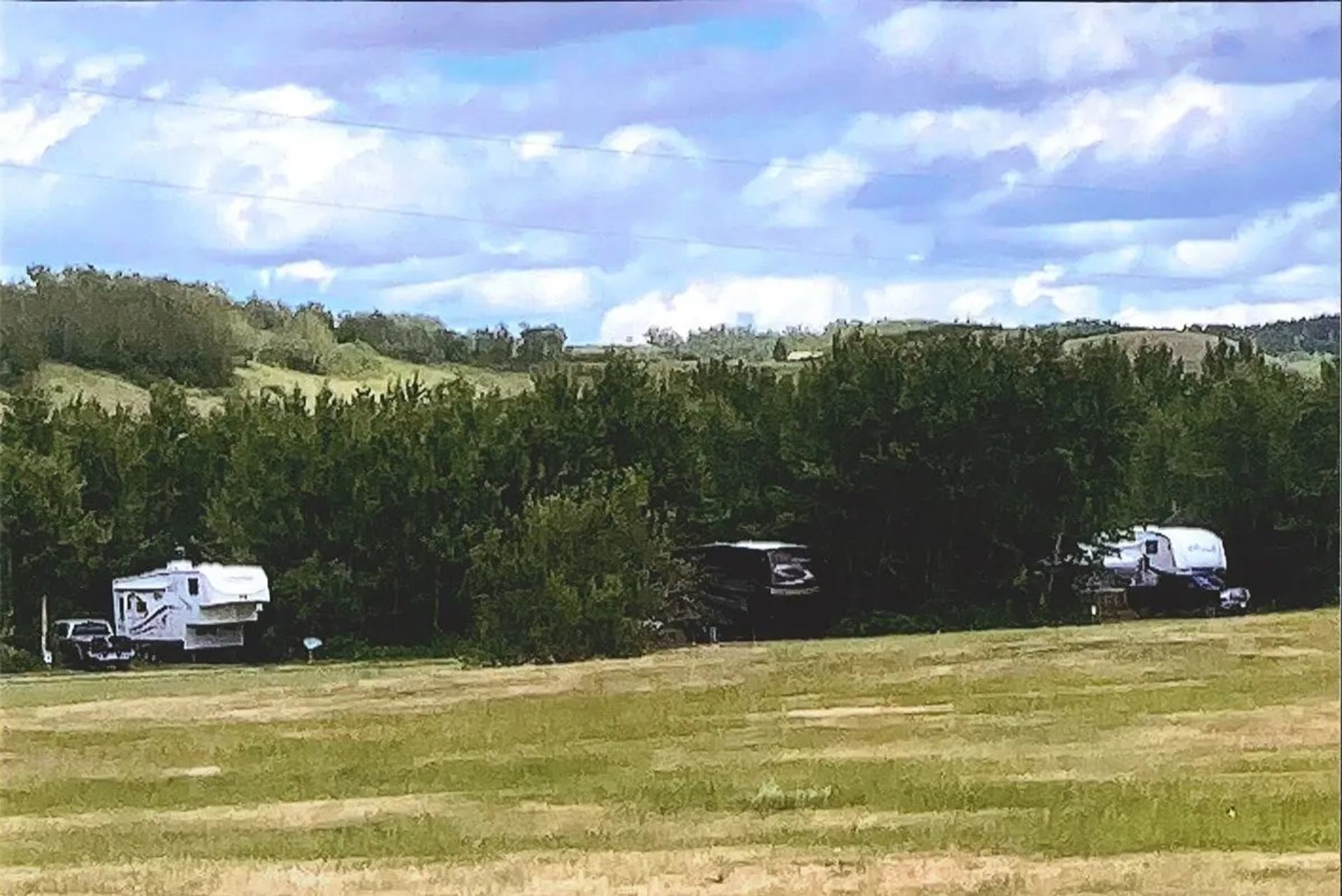 Recreational vehicles sit beside trees beyond a mown field under a cloudy sky.
