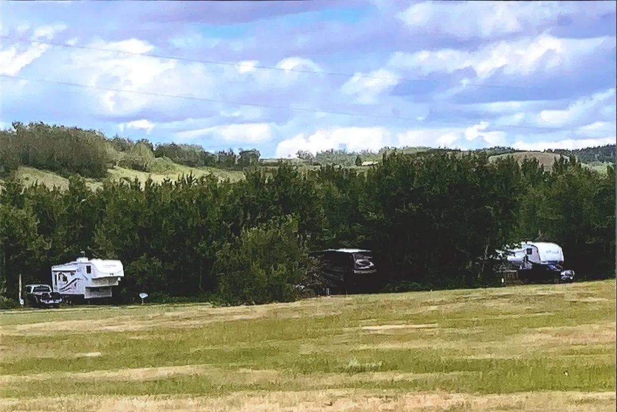 Recreational vehicles sit beside trees beyond a mown field under a cloudy sky.