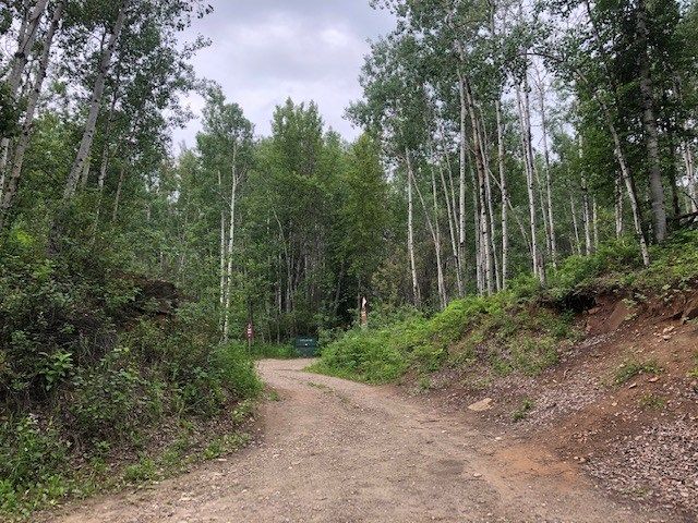 Dirt road into the campsites at Cotillion Campground.