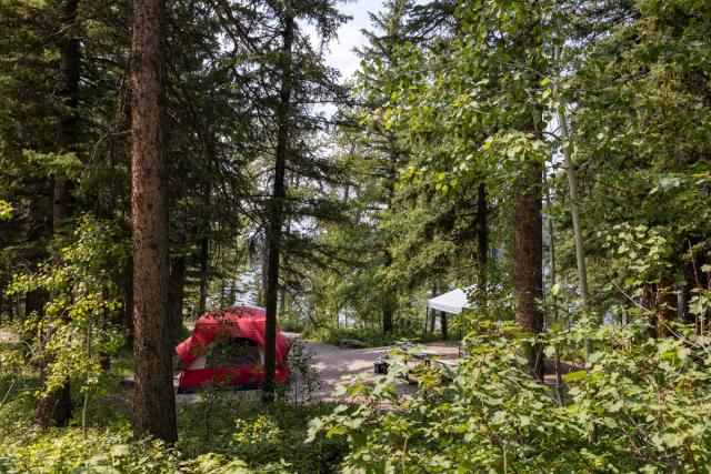 A campsite at Beaver Mines Lake Campground.