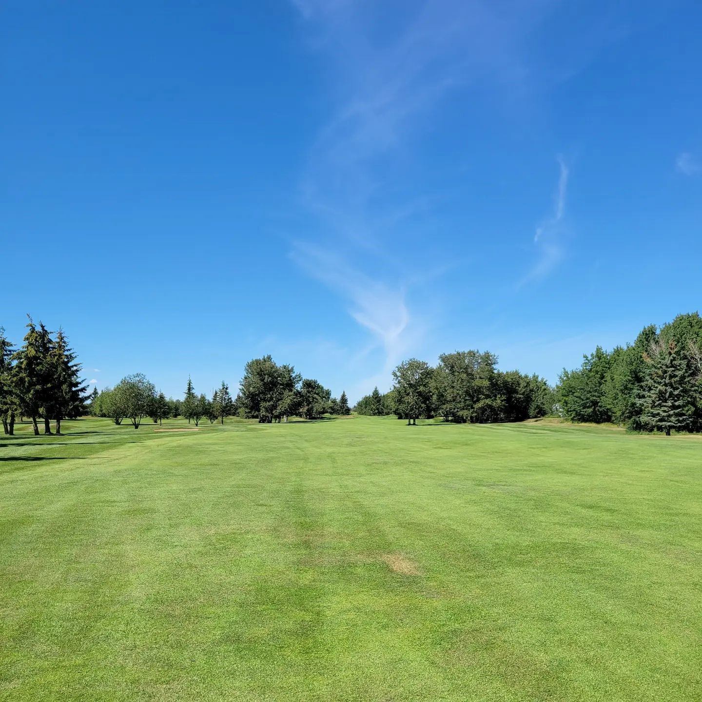 Golf course fairway with trimmed grass, trees lining the background under blue sky.