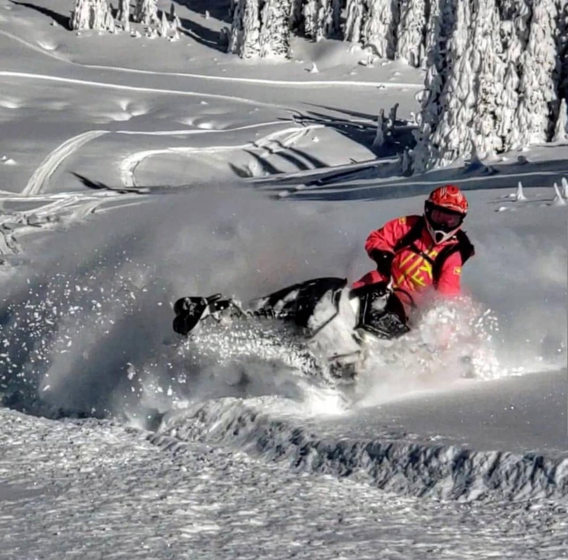 Snowmobiler in red gear rides through deep powder among snow-covered trees.