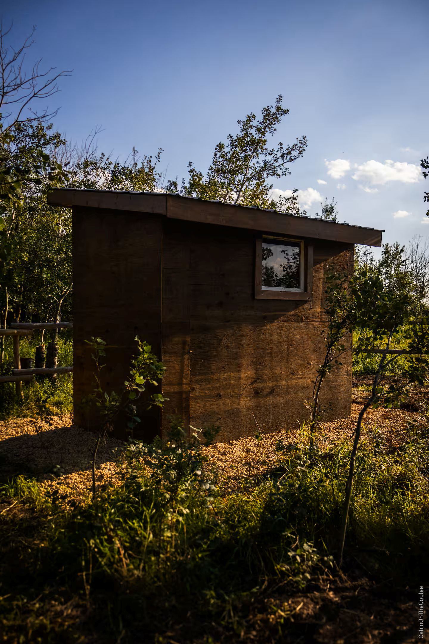 Small wooden outhouse surrounded by trees and grass in warm sunlight.