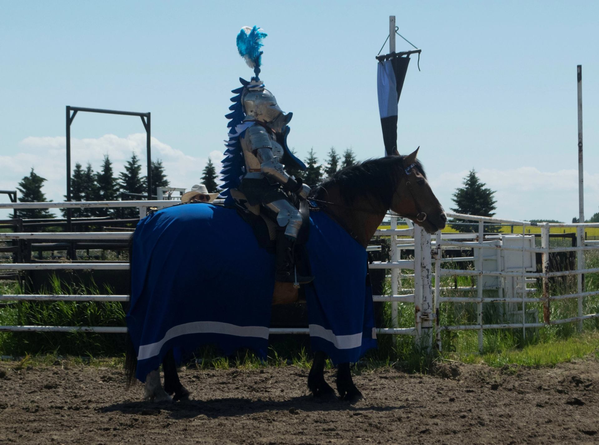 A knight on his horse.