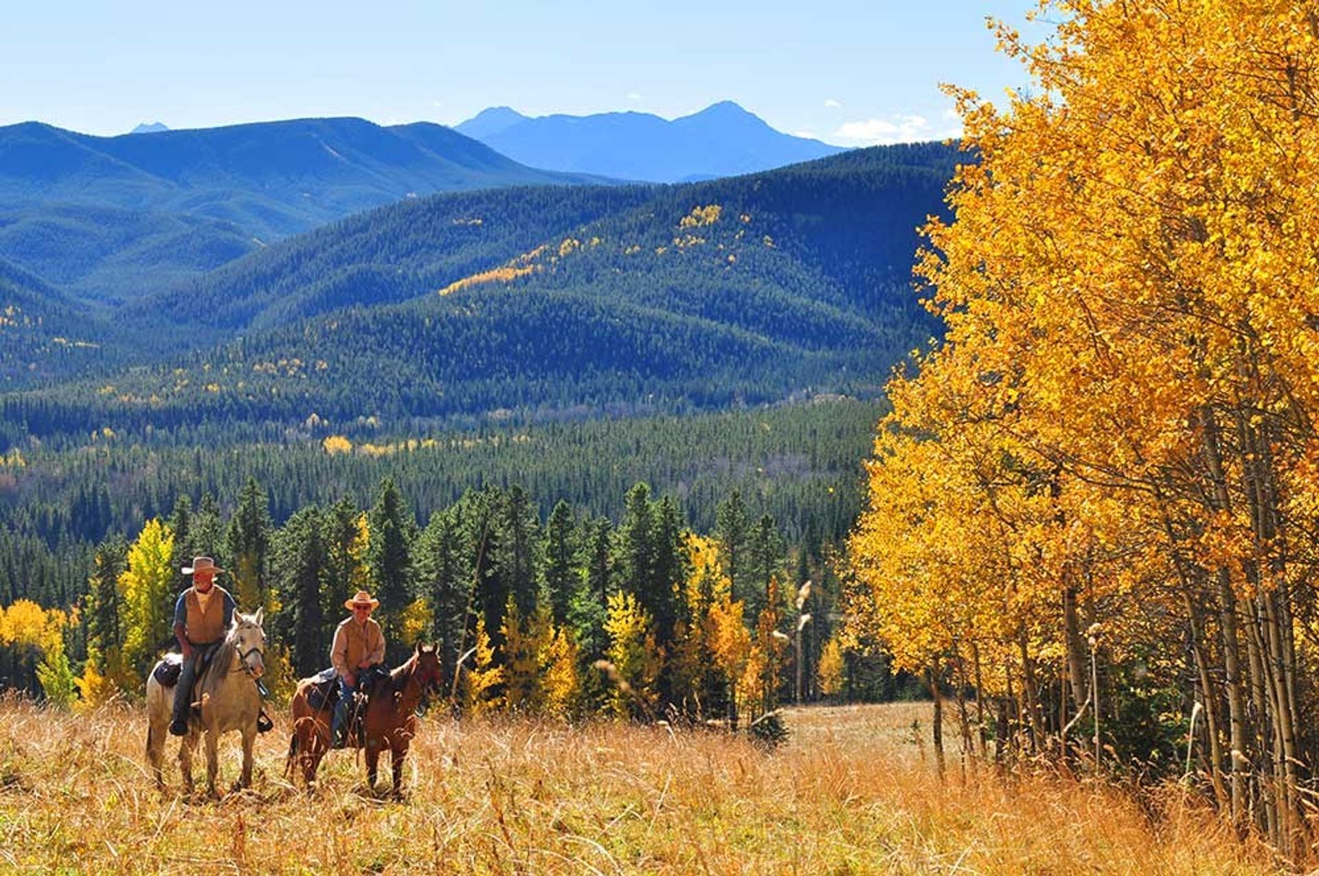 Trail ride during the Fall.