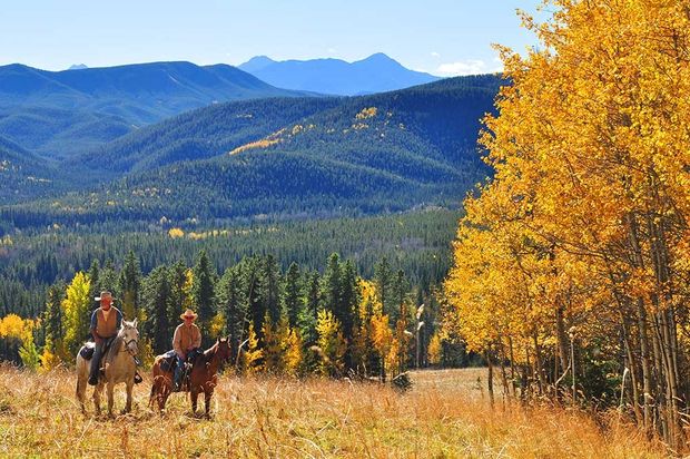 Trail ride during the Fall.