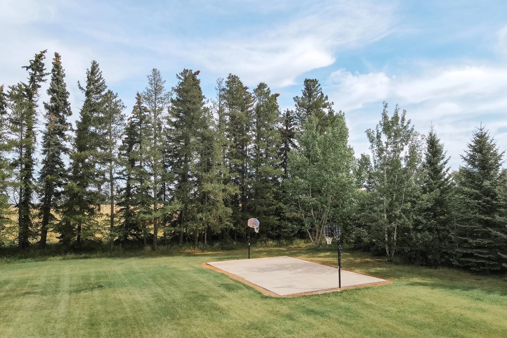 Outdoor concrete basketball court on grassy lawn, surrounded by tall evergreen trees.
