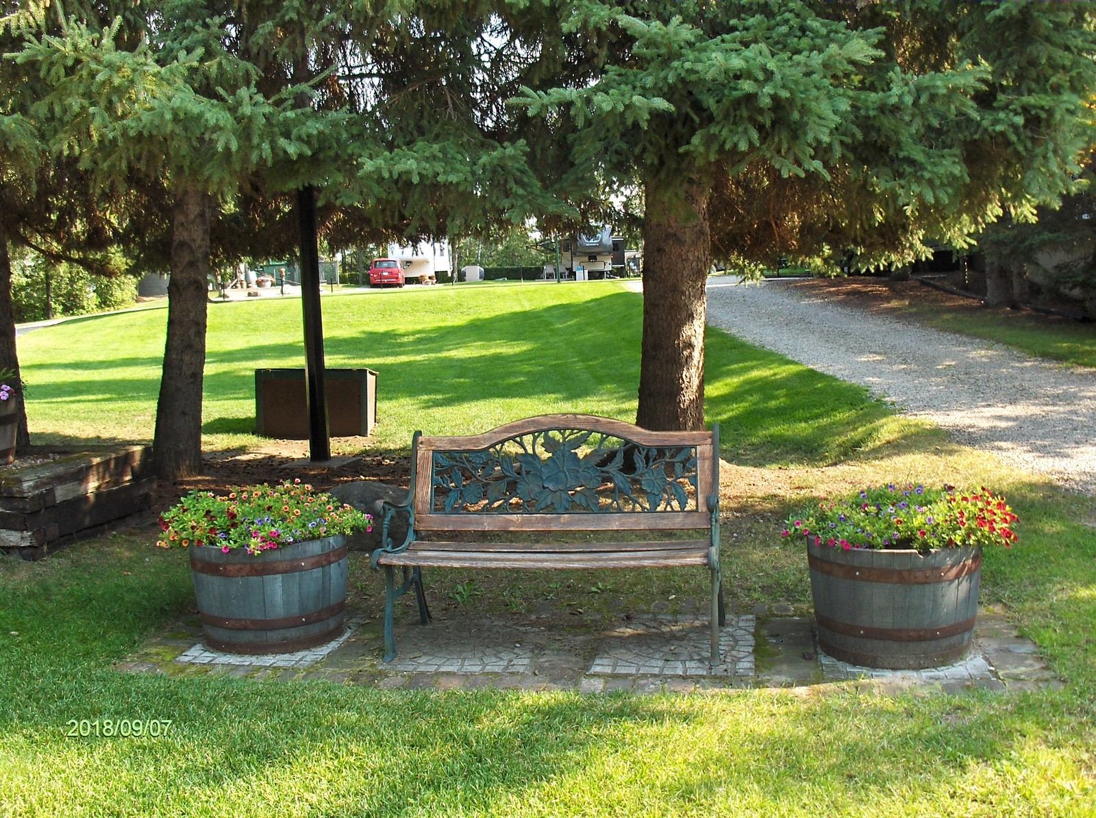 A decorative park bench between two barrel planters filled with colorful flowers, shaded by evergreen trees in a sunny garden.