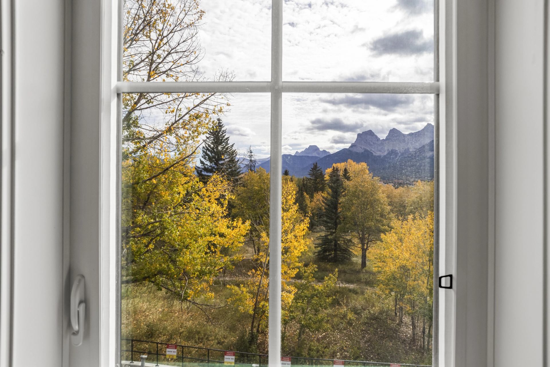 Window view of yellow trees, evergreen forest and distant mountain range under clouds.