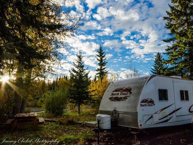 Travel trailer in wooded area with autumn trees and sunlight filtering through.