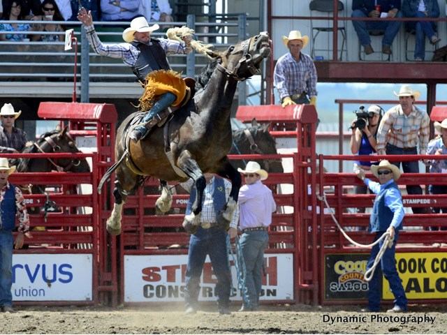 Rodeo rider on bucking horse in arena, surrounded by cowboys and red chutes.