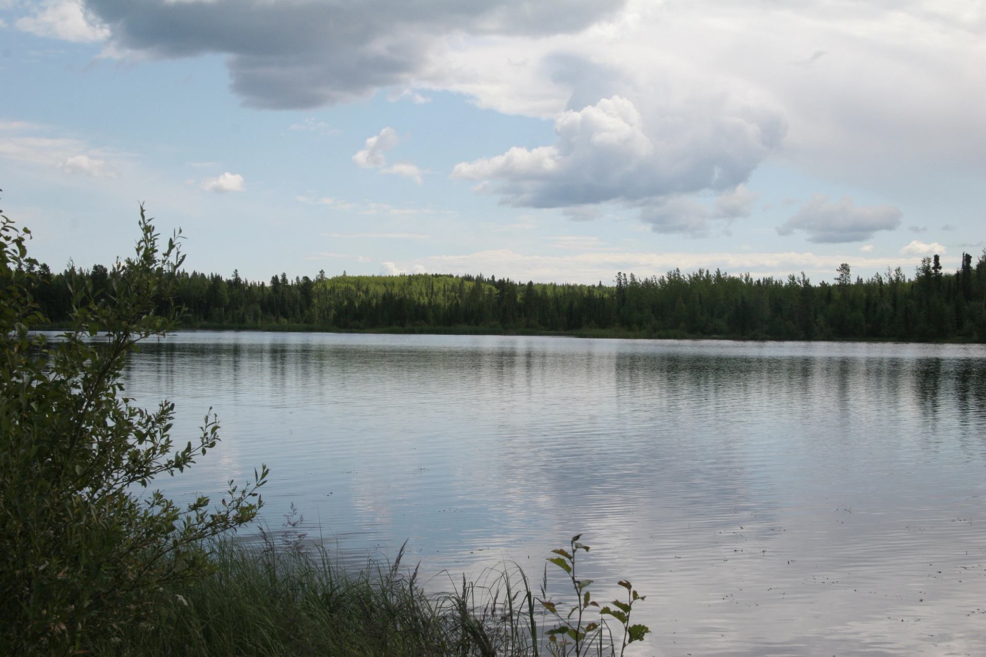 Still lake with forested shoreline and cloudy sky.