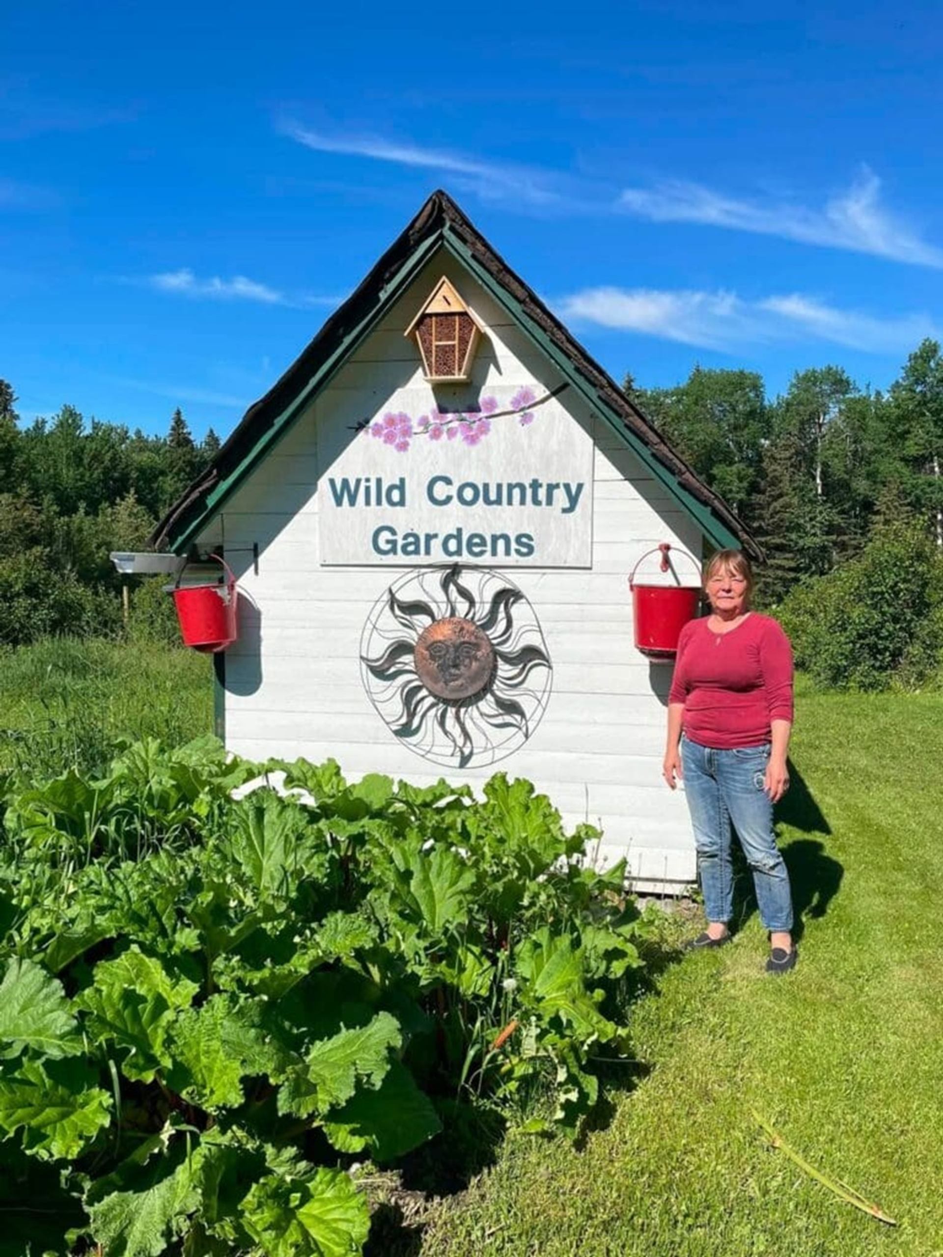 Person standing beside Wild Country Gardens shed with leafy plants and trees.