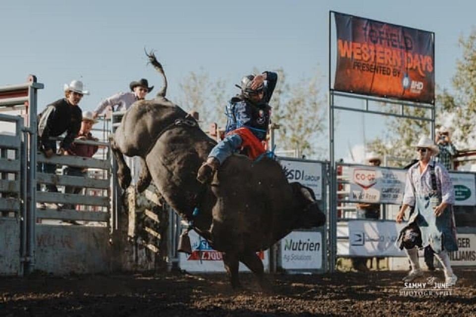 Bull rider holds on as bucking bull leaps in rodeo arena with spectators.