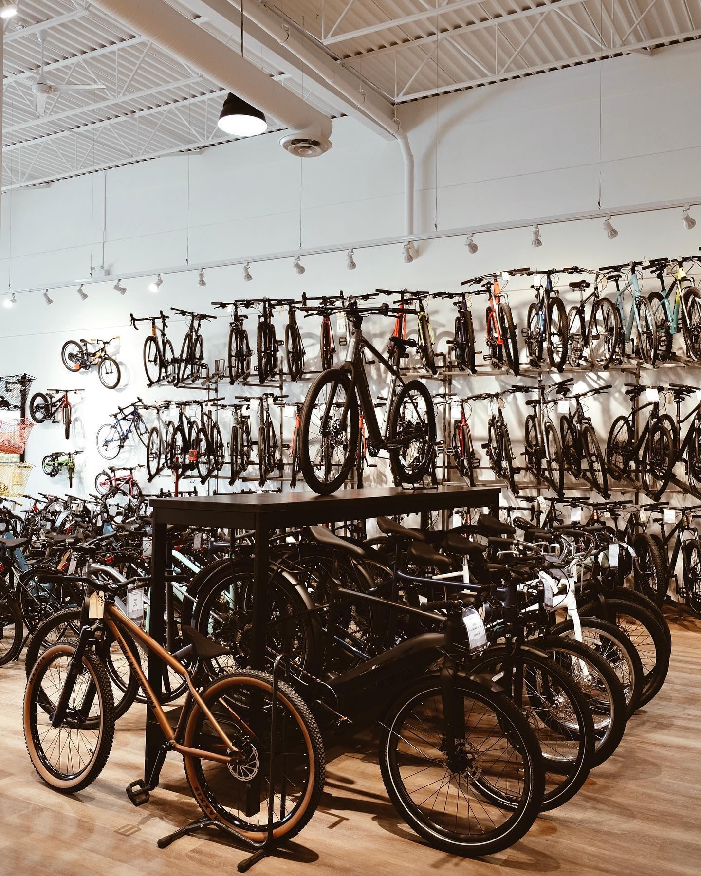 Interior of bike shop with rows of road and mountain bikes on display.