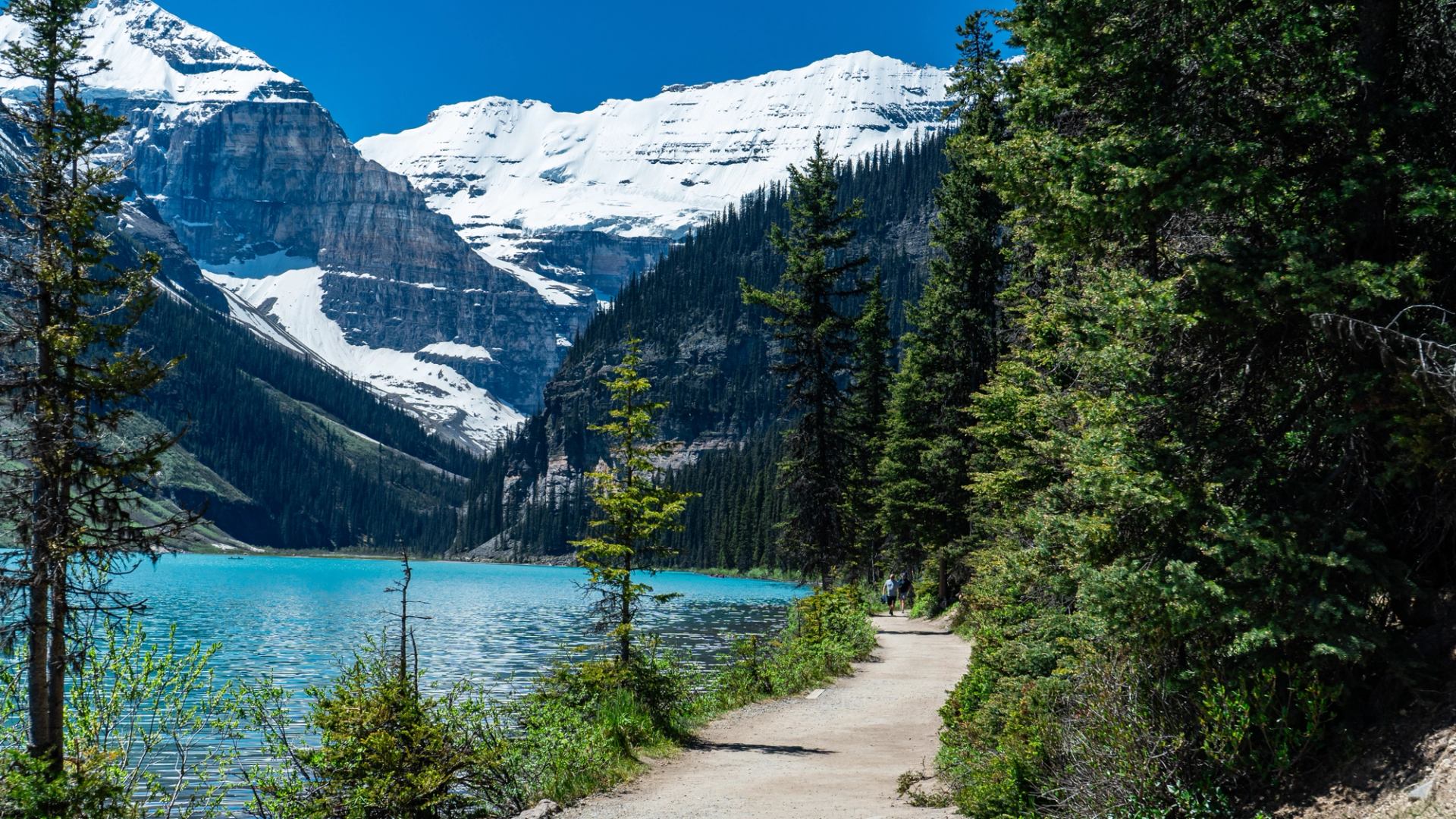 Lakeside dirt trail beside turquoise water, dense evergreens and snow-covered mountain peaks.