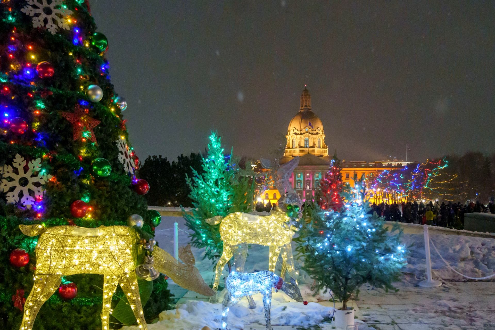 Festive lights, decorated trees, and glowing reindeer in front of the Alberta Legislature.