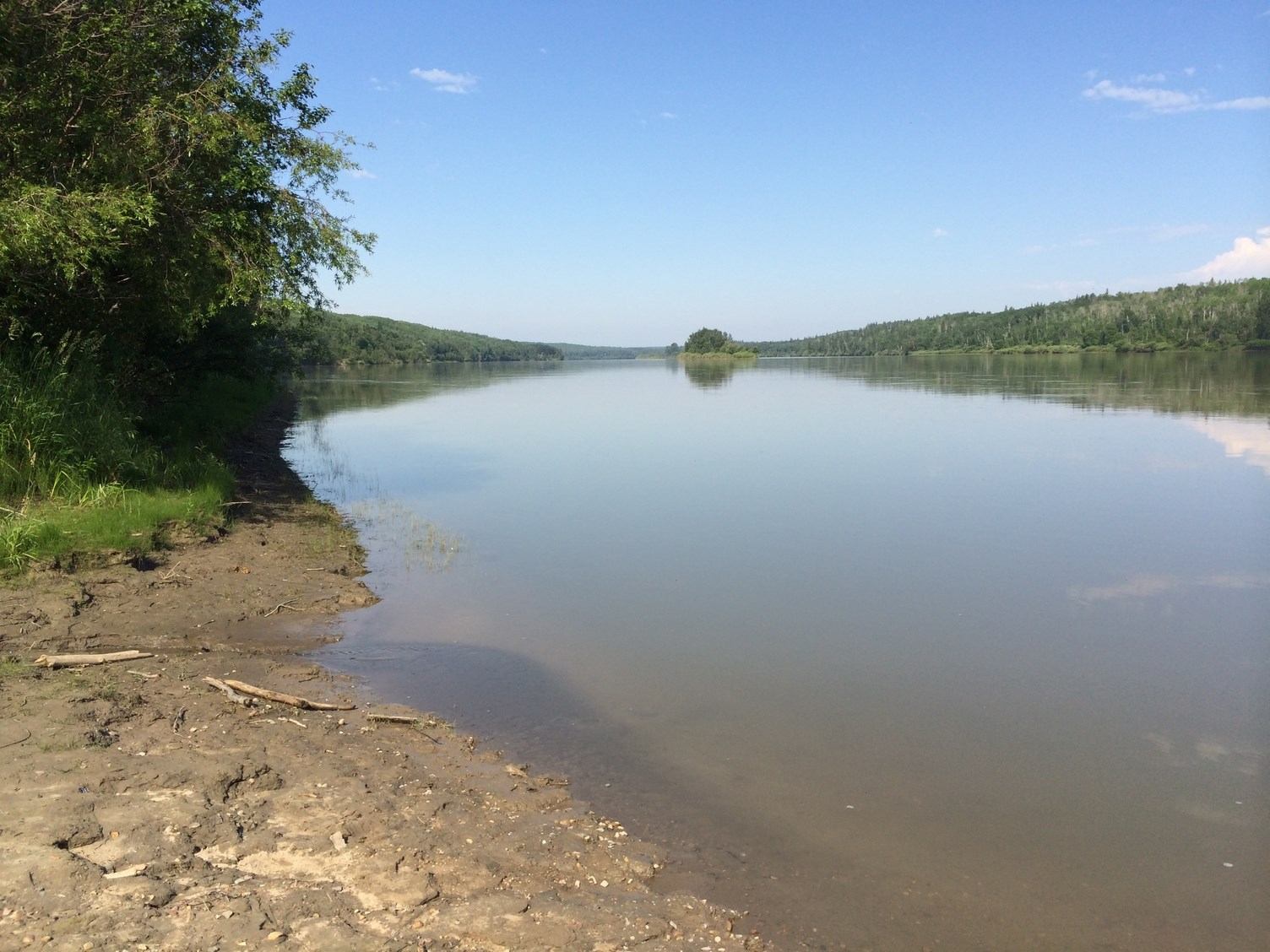Peaceful view of Athabasca River with muddy bank and forested shores