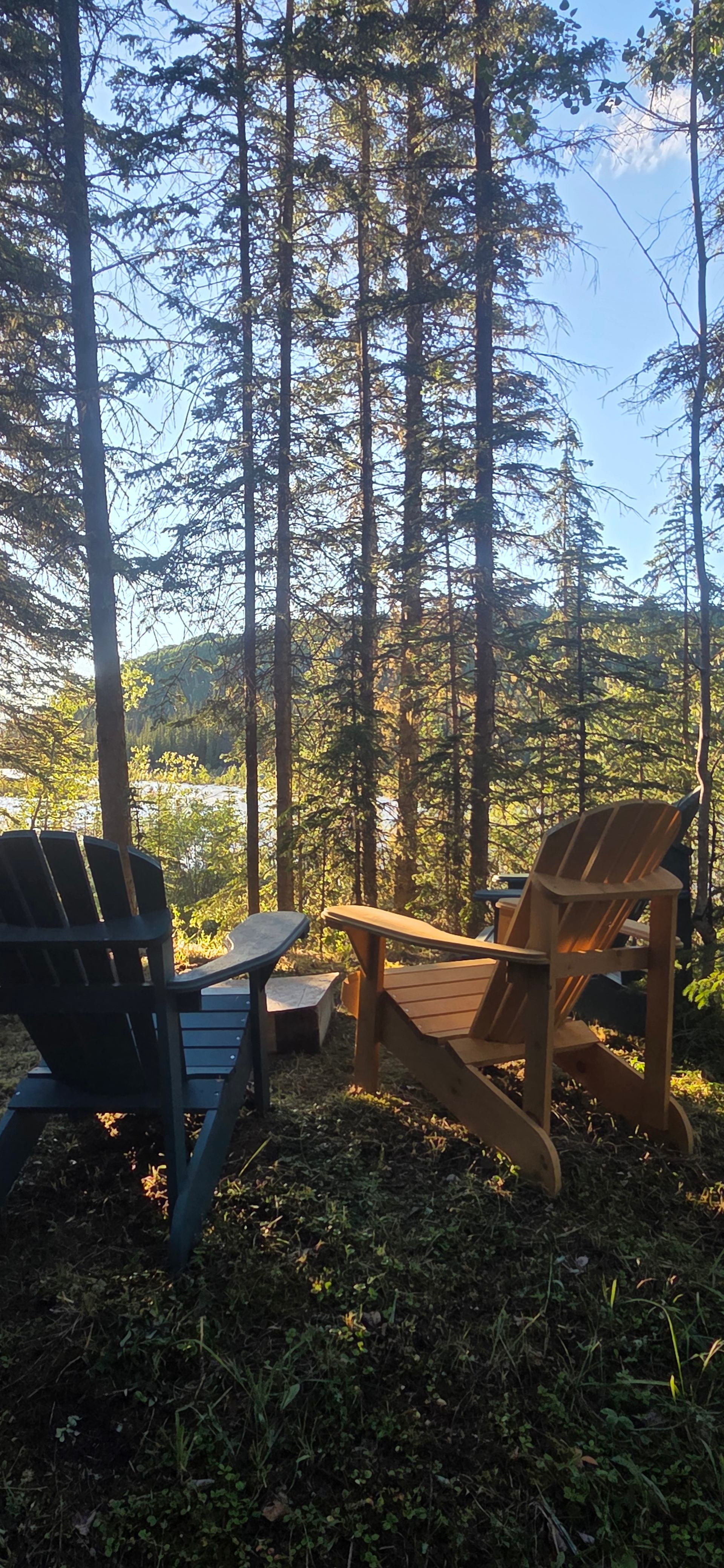 Two Adirondack chairs on forested slope overlooking lake through tall evergreen trees.