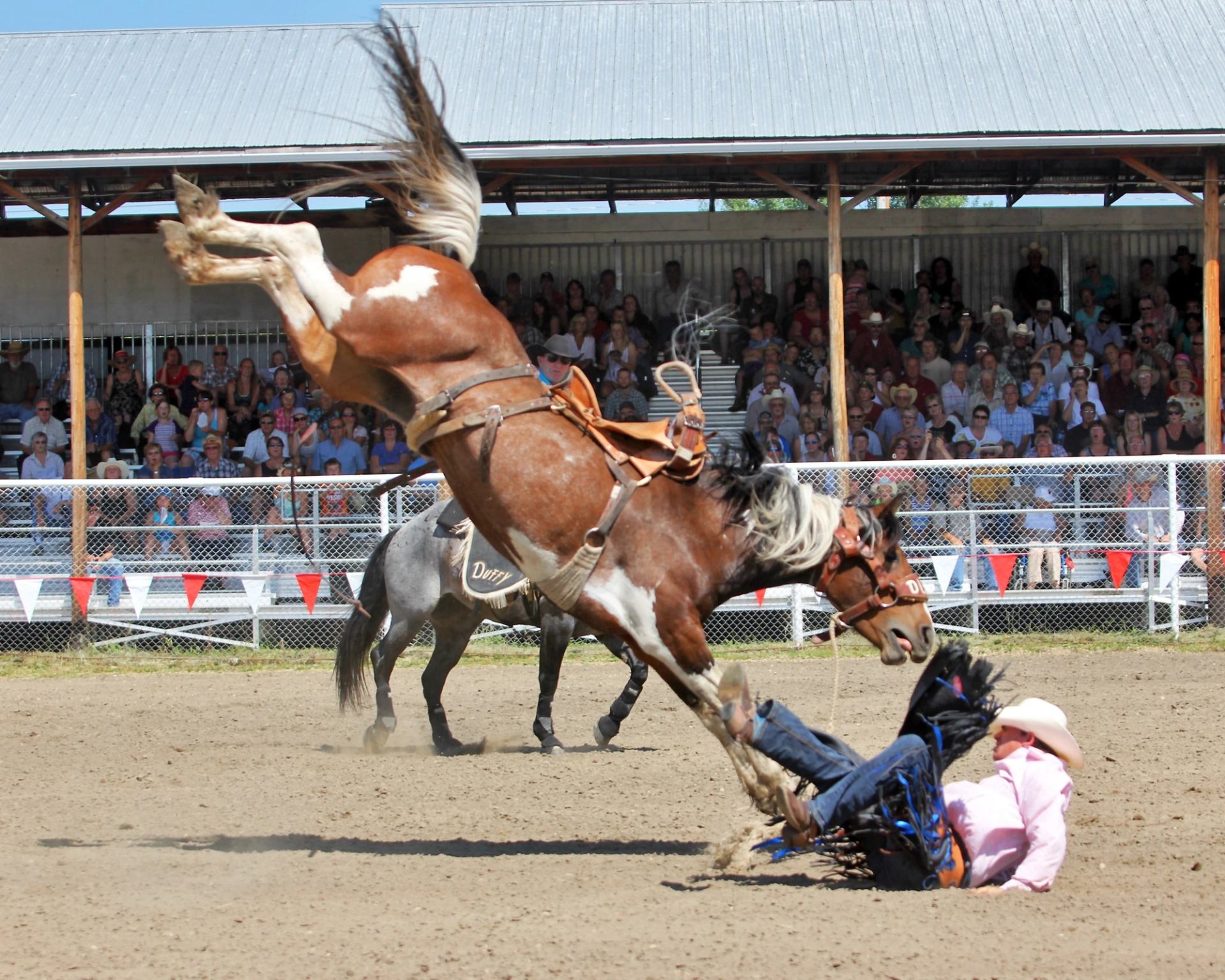 Man thrown from his horse