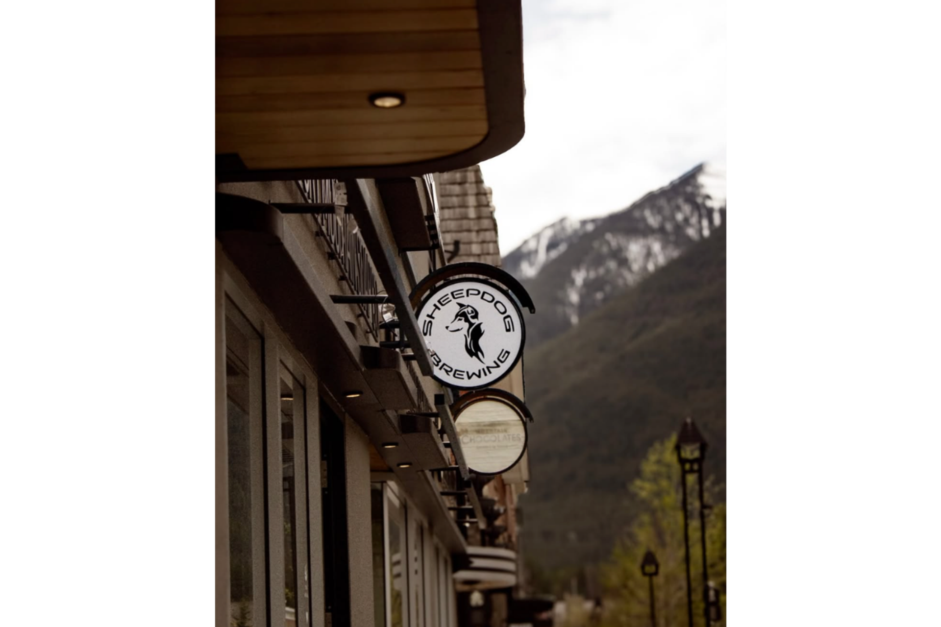 Sheepdog Brewing sign hangs from a building with a snow-capped mountain behind it.